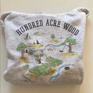Disney Winnie the Pooh hundred acre wood hoodie